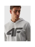 Pánská mikina s kapucí bez pánské model 21432204 - 4F Pánská mikina s kapucí bez pánské model 21432204 - 4F