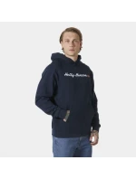 Helly Hansen Core Graphic Sweat Hoodie M 53924 596 Helly Hansen Core Graphic Sweat Hoodie M 53924 596