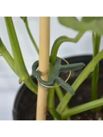 SPONKY NA ROSTLINY 20KS PROGARDEN