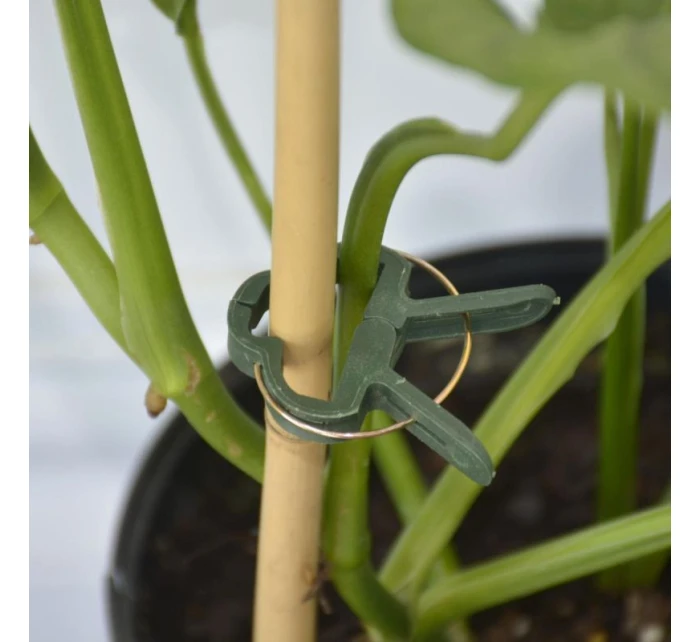 SPONKY NA ROSTLINY 20KS PROGARDEN