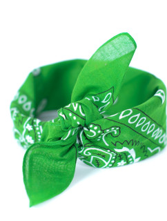 Šátek model 16617901  green - Art of polo