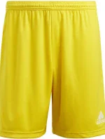 Pánské šortky Entrada 22 M IC7404 - Adidas