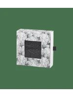 model 21234811 Socks 2 Pack Sheer UNKNOWN UNKNOWN - Triumph model 21234811 Socks 2 Pack Sheer UNKNOWN UNKNOWN - Triumph