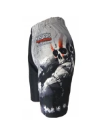 Pánské tréninkové šortky  M  model 18033405 - Masters