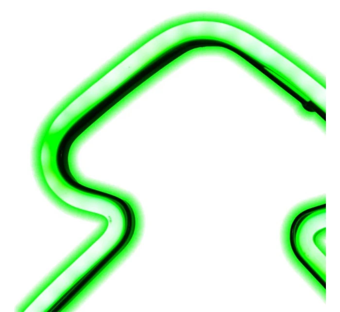 NEON GREEN CHOIN 87 LED BATERIE 16x91CM LUCA