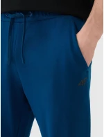 Pánské tepláky 4F Pánské tepláky 4F