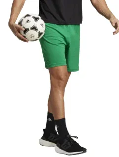 22 Šortky M model 18880599 - ADIDAS