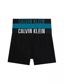 Pánské spodní prádlo BOXER SLIM 2PK 000NB3833AOG4 - Calvin Klein