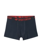 Chlapecké boxerky 4F M061 3ks vícebarevné 4FJWAW25UBXSM061 90S Chlapecké boxerky 4F M061 3ks vícebarevné 4FJWAW25UBXSM061 90S
