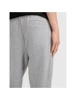 Pánské tepláky typu jogger 4F 4FRMM00TTROM1624-27M Pánské tepláky typu jogger 4F 4FRMM00TTROM1624-27M