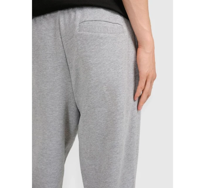Pánské tepláky typu jogger 4F 4FRMM00TTROM1624-27M Pánské tepláky typu jogger 4F 4FRMM00TTROM1624-27M
