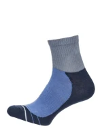 Pánské ponožky ACTIVE 0224.008 Pánské ponožky ACTIVE 0224.008