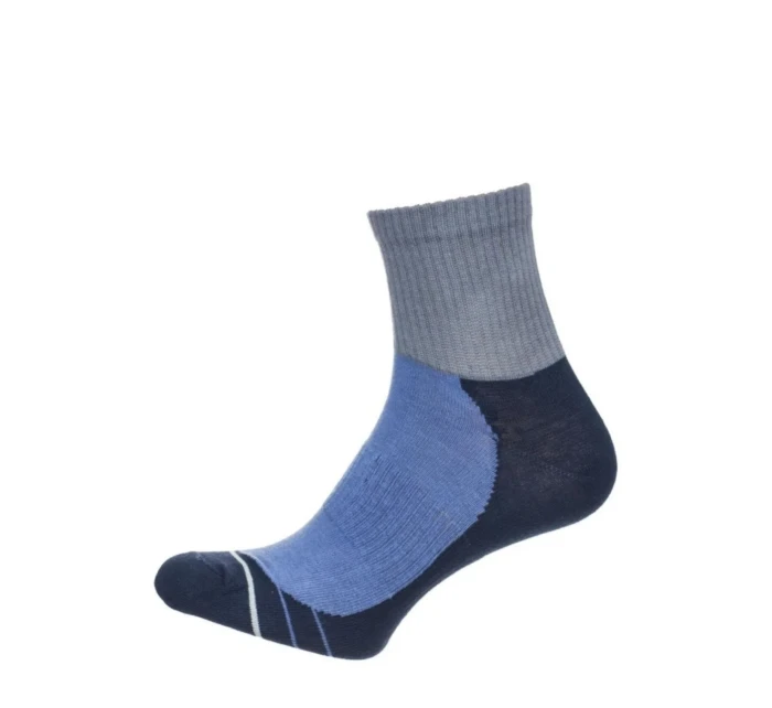 Pánské ponožky ACTIVE 0224.008 Pánské ponožky ACTIVE 0224.008