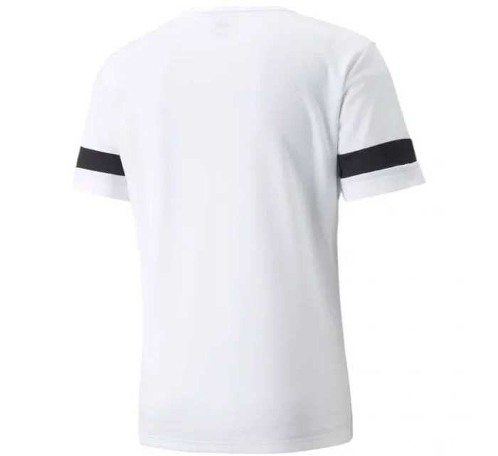 Pánské boty teamRISE M 704932 04 - Puma