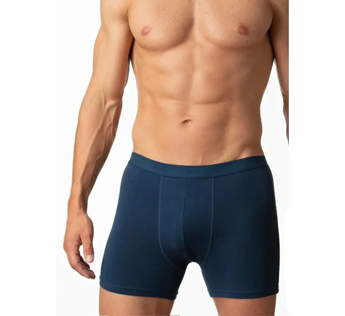Pánské boxerky model 21015701 019 M2XL - Key Pánské boxerky model 21015701 019 M2XL - Key