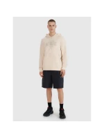 Pánská mikina s kapucí  pánská model 21907027 - 4F