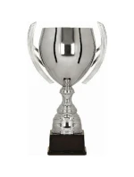 Stříbrný kovový pohár model 21827286