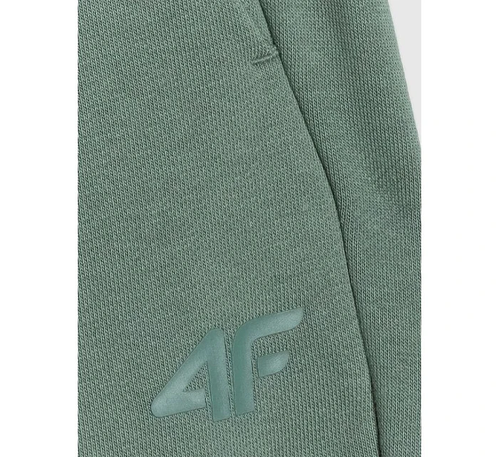 Pánské tepláky model 22071419 - 4F