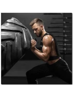 vesta model 21877136 - HMS