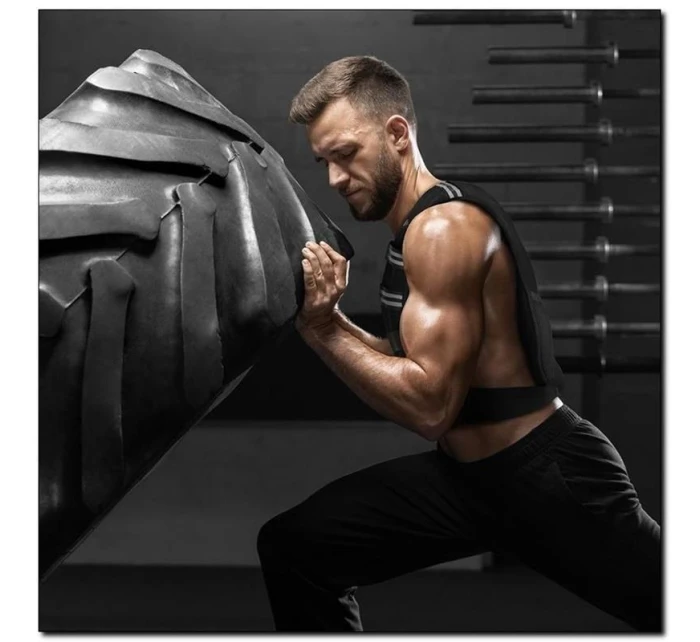 vesta model 21877136 - HMS