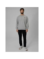 Pánská mikina z fleece, regular střih, bez kapuce, 4F 4FRMM00TSWSM3059-27M