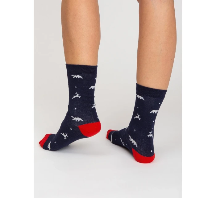 Ponožky WS SR 5637 vícebarevné