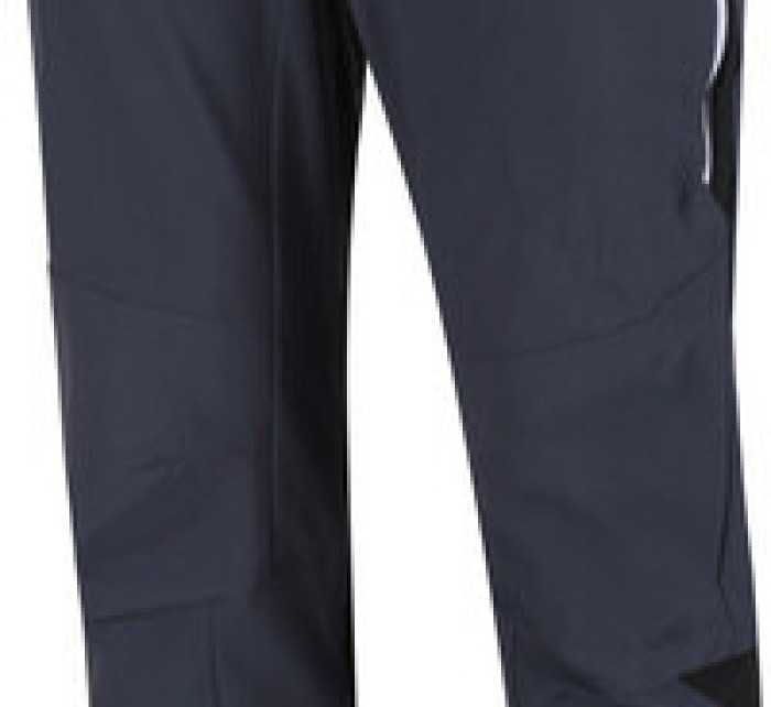 Pánské trekingové kalhoty Regatta RMJ270R Mountain Trs III J75 šedé