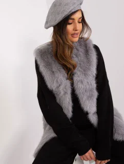 Rádiovka model 191119 AT