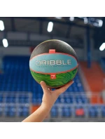 Basketbalový míč model 21340403 - Meteor