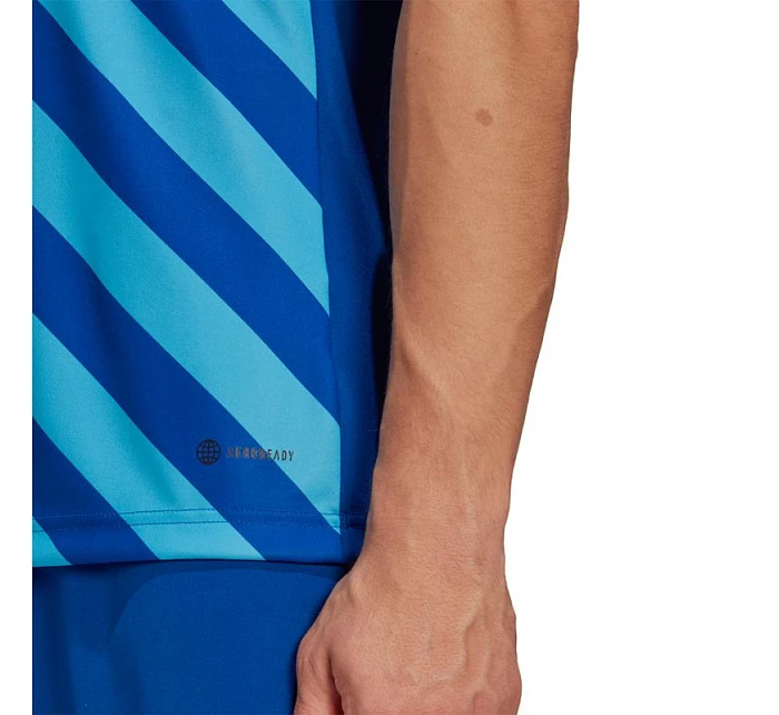 Pánský dres Entrada 22 Graphic Jersey M HF0116 - Adidas