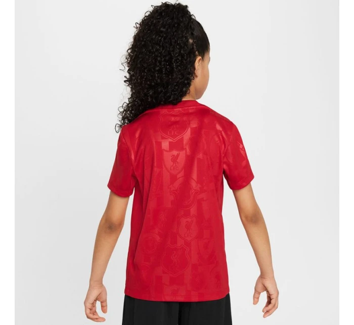 Tričko Nike Liverpool FC Academy Pro SS Top Jr FQ0013-688