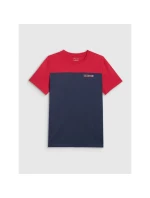 Pánské tričko s potiskem 4F 4FRAW25TTSHM3292-31S