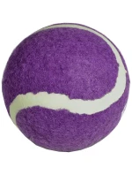 model 21825956 - Enero