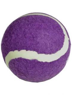 model 21825956 - Enero