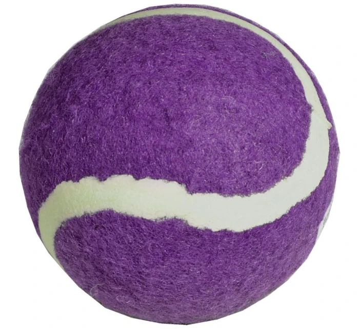 model 21825956 - Enero