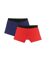 Pánské boxerky 4F M059 2-pack multicolor 2 4FWMM00UBXSM059 92S