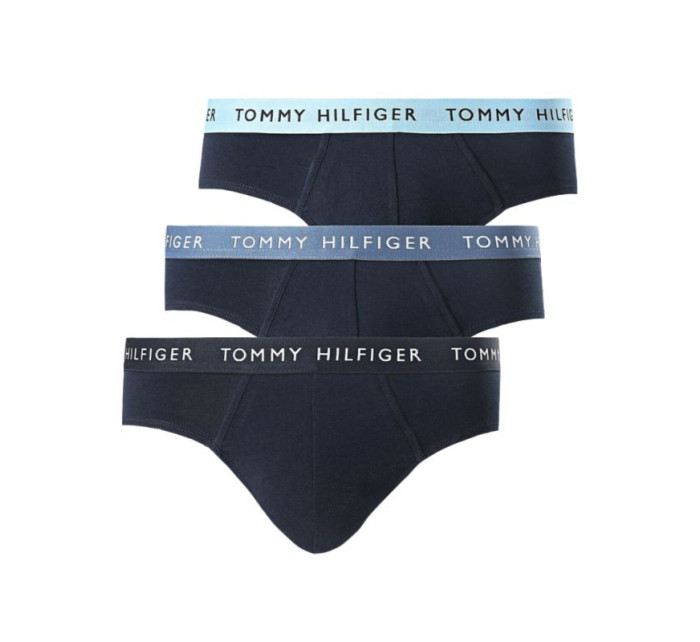 Tommy Hilfiger Wb Brief M UM0UM02389 kalhotky