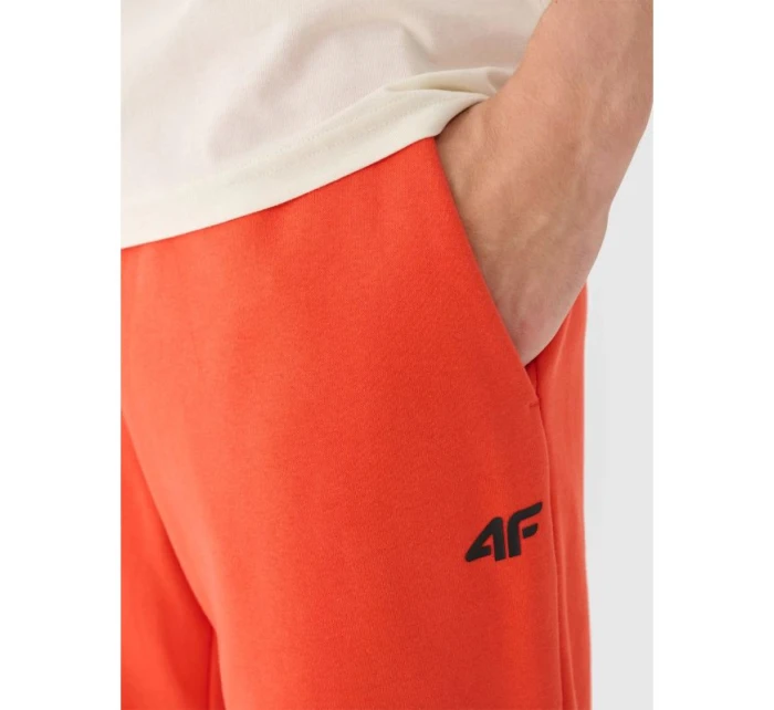 Pánské tepláky typu jogger model 21433039 - 4F Pánské tepláky typu jogger model 21433039 - 4F