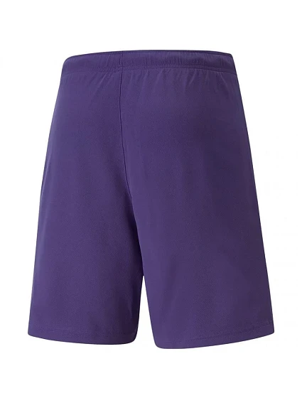 Pánské šortky teamRise Short M 10 model 19688018 - Puma Pánské šortky teamRise Short M 10 model 19688018 - Puma