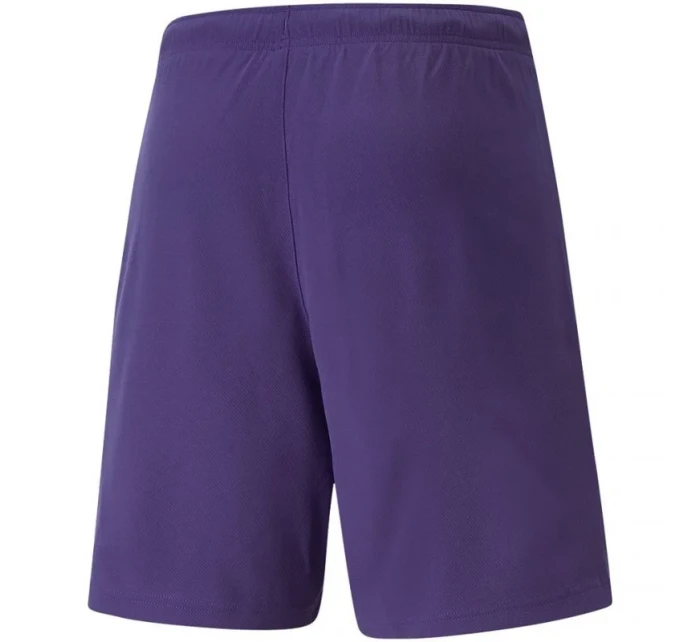 Puma teamRise Short Prist M 704942 10
