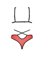 Passion Peonia set barva:červená