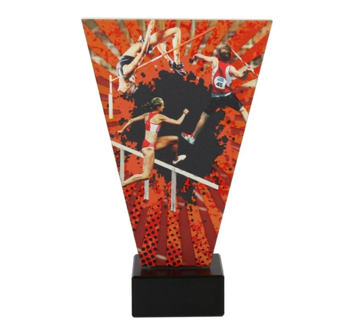 pro model 21363925 pro model 21363925