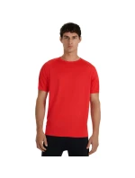 Tričko M  pánské model 21399266 - 4F