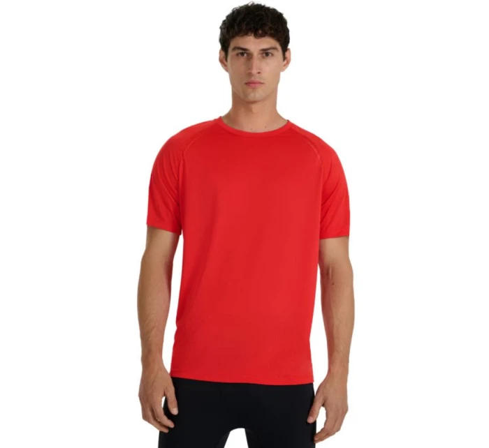 Tričko M  pánské model 21399266 - 4F