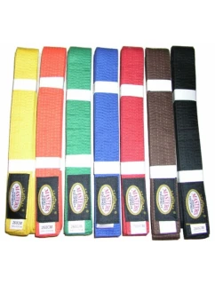 pásy model 21347114 - Masters