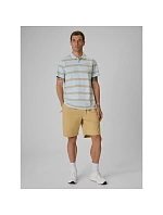 Pánské polo tričko s střihem model 22279508 - 4F