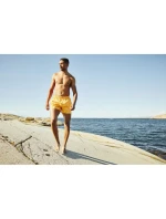 pánské plavky Trunk 328 model 21325246 - Helly Hansen