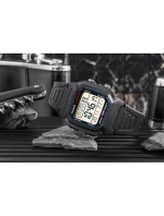 Pánské hodinky CASIO W-800H-1AVES + krabice Pánské hodinky CASIO W-800H-1AVES + krabice