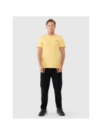 Pánské tričko s potiskem 4F 4FWSS25TTSHM1974- 4F 4FWSS25TTSHM1974-71S Pánské tričko s potiskem 4F 4FWSS25TTSHM1974- 4F 4FWSS25TTSHM1974-71S