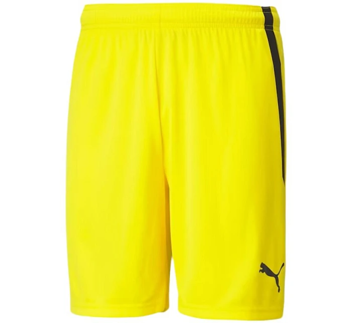 Šortky Puma teamLIGA M 704924 07 Šortky Puma teamLIGA M 704924 07